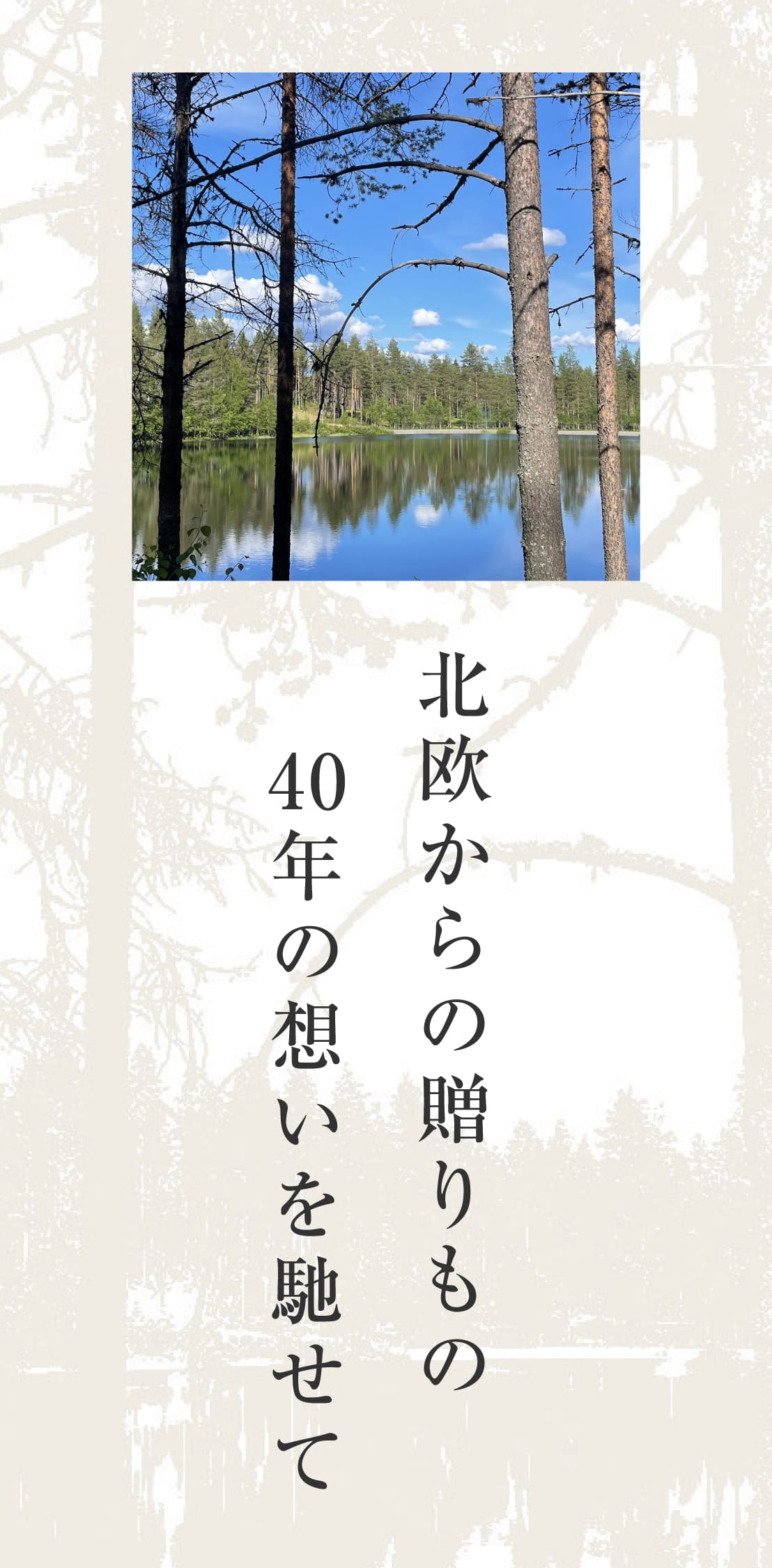 ビックボックスの健康住宅ログハウス,40周年アニバーサリー