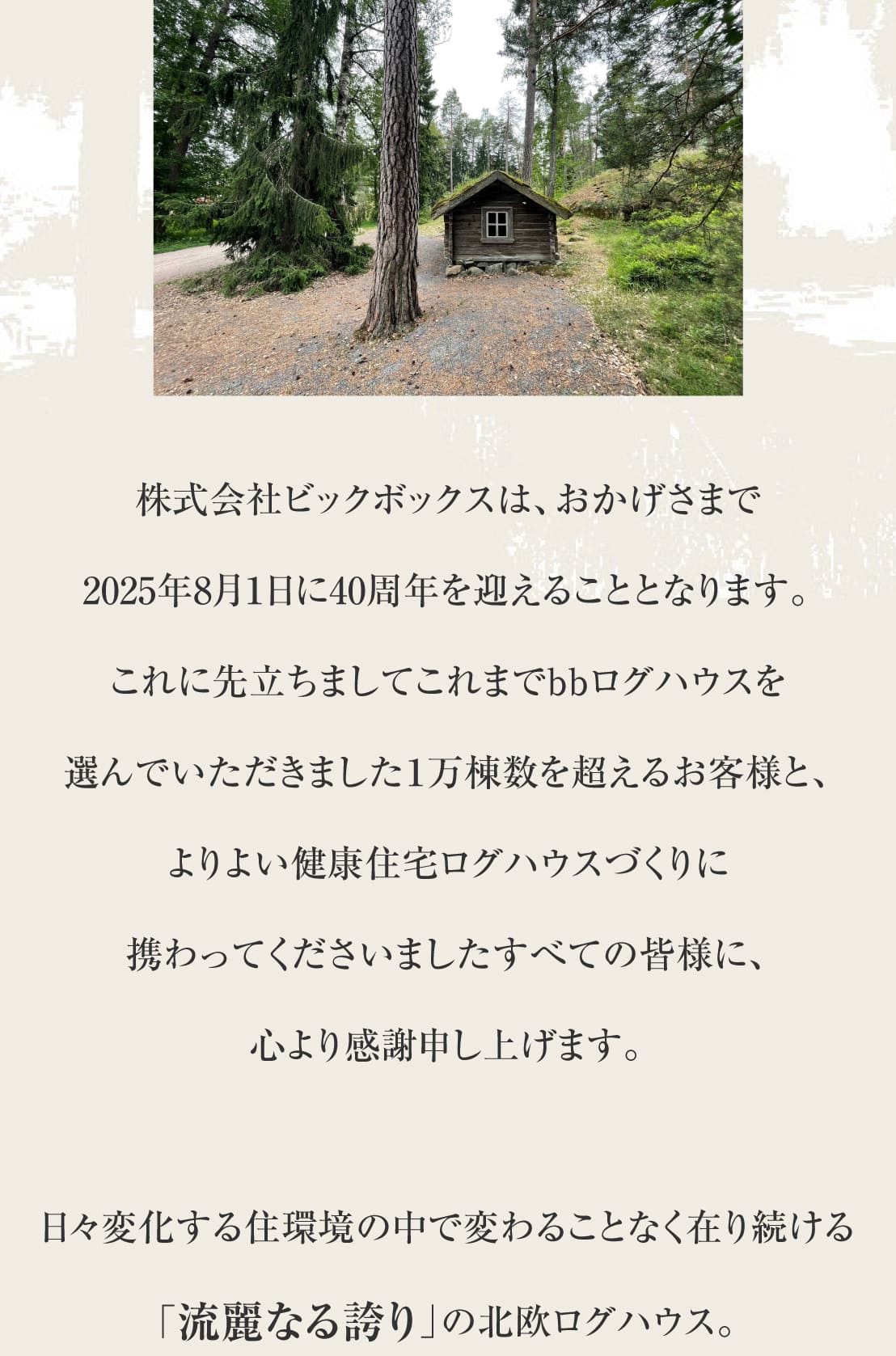 ビックボックスの健康住宅ログハウス,北欧からの贈りもの,40年の想いを馳せて