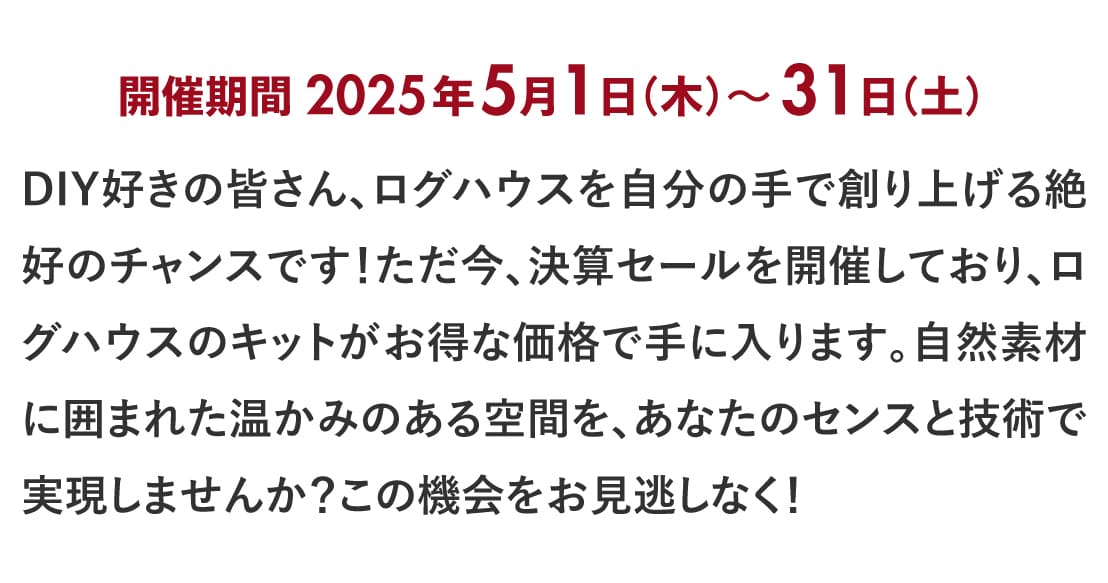 ログハウス,ビックボックスキャンペーン
