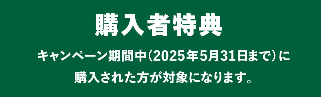 ログハウス,ビックボックスキャンペーン