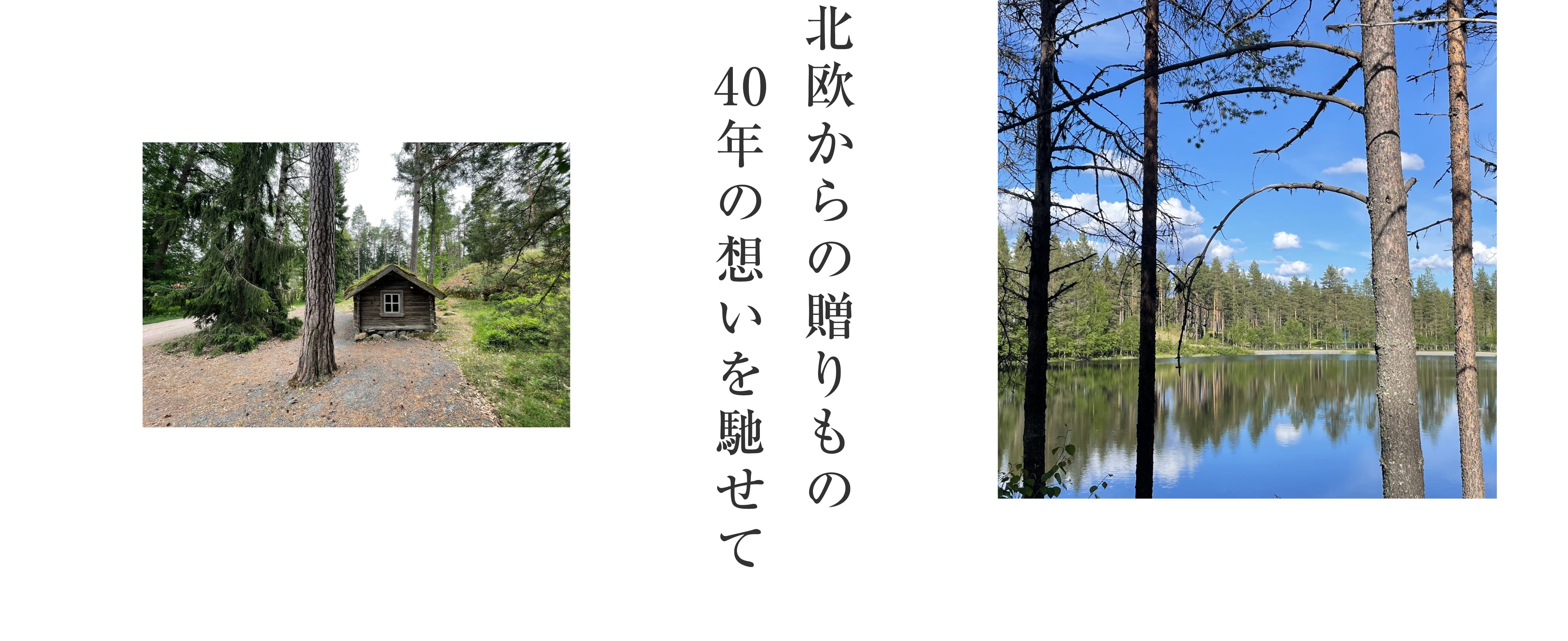 ビックボックスの健康住宅ログハウス,北欧からの贈りもの,40年の想いを馳せて